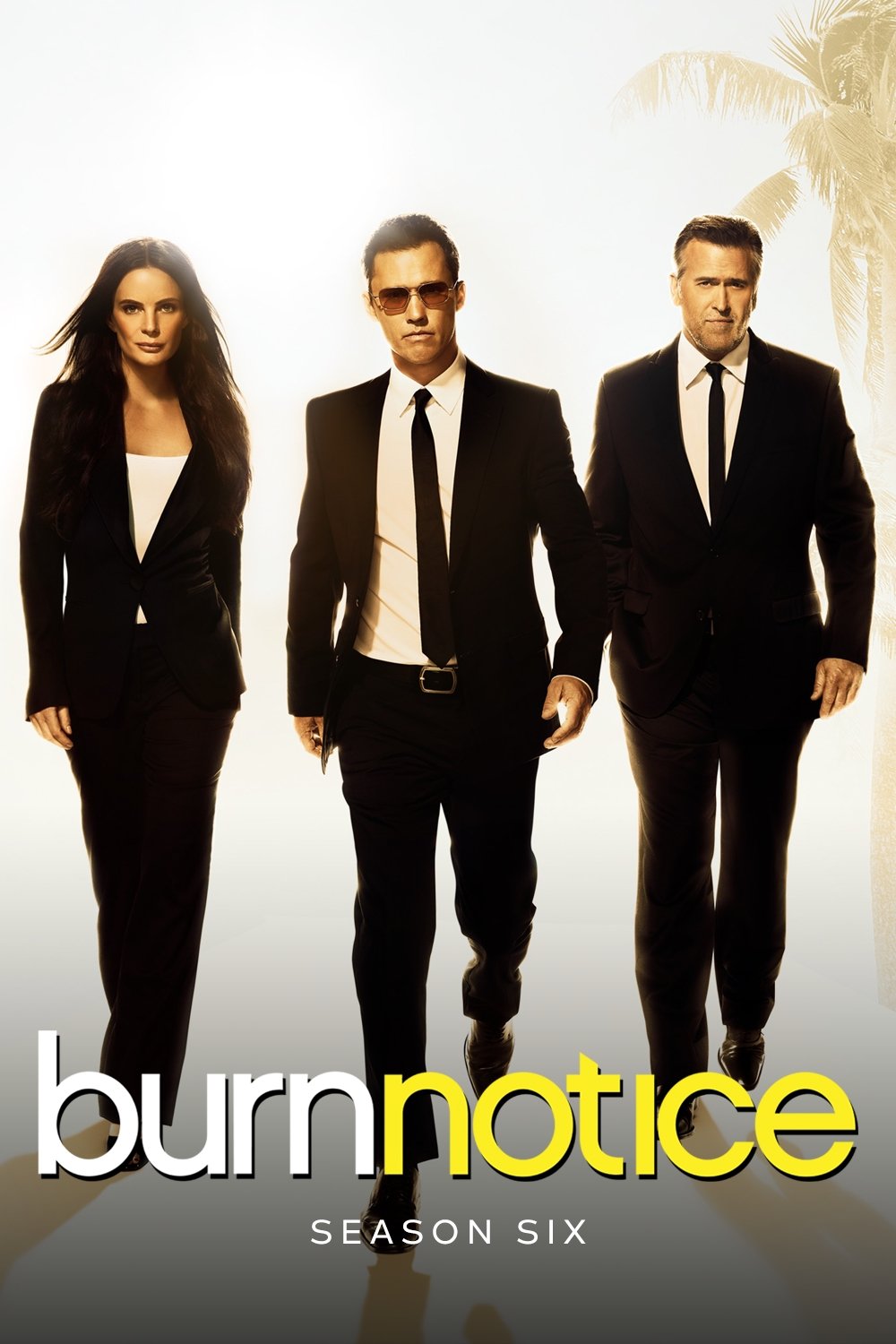 Burn Notice - Season 6 [38183] (A1765705422) [[Shows]] --Plex--